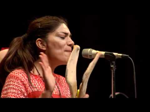 14.Iguana - Celso Duarte