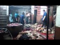 REVEALED: Dogs Skinned Alive for Leather