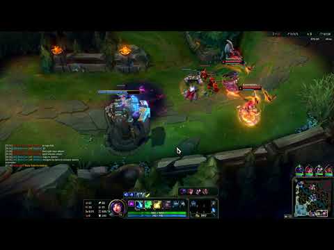 NEEKO DESTEK BÖYLE OYNANIR AGAAA :)