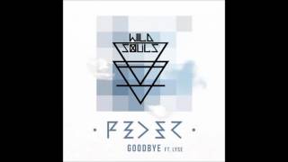 FEDER - GOODBYE  (WILD SOULS REMIX)