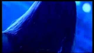 Slayer - Mandatory Suicide - Live