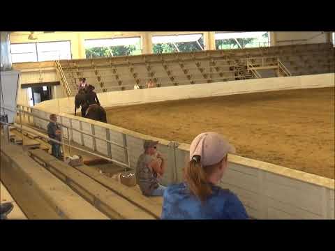 sneha melissa and louie open western pleasure 7 8 18