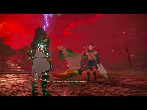 Noch ein Mitstreiter #hyrulewarriorsageofimprisonment #gaming #viralvideo