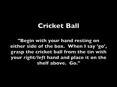 download lagu mp3 mp4 Arat Assessment, download lagu Arat Assessment gratis, unduh video klip Arat Assessment