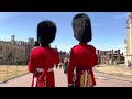 MAKE WAY FOR THE QUEENS GUARDS!Checking the ￼guards