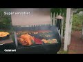 Discontinued Deluxe Wood Pellet Grill and Smoker