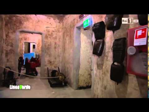 Linea verde - Rai 1 (05/10/2014)