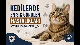 Kedilerde En Sık Görülen Hastalıklar! Veteriner Hekim Anlatıyor - Cosm
