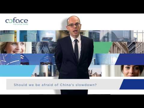 Coface's Country Risk Conference 2015 - Afternoon Presentation