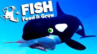 Ocean's Largest Killer Whale Attacks Sperm Whales! - Feed and Grow Fish Gameplay