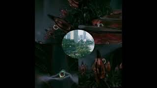 60th - hawkwind - 1988 Xenon codeX - WASTELANDS OF SLEEP