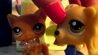 LPS A girls life story part 3 (OLD)