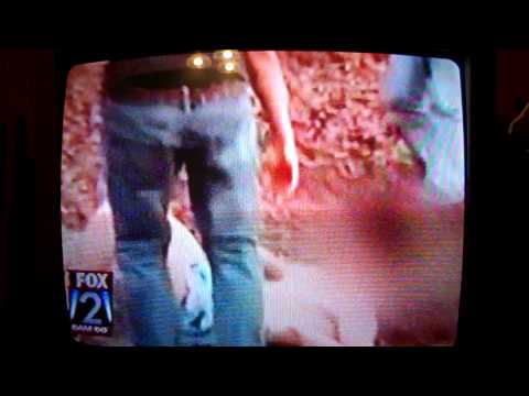 Fox 2 Tries to Make Amends