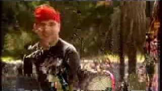 Shapeshifter feat Ladi6 - When I Return (Official Music Video)