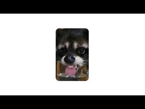 Get a Battery That Lasts Refreshingly Long With Pixel