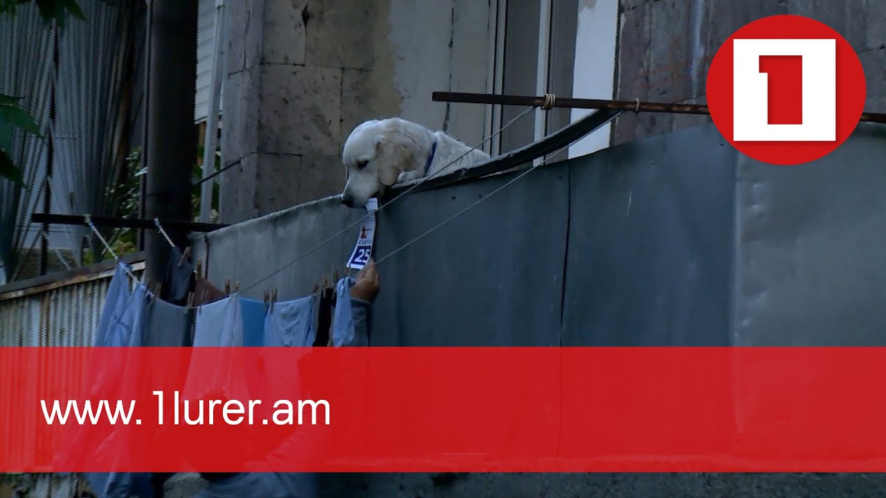 Քարոզարշավ. no comment