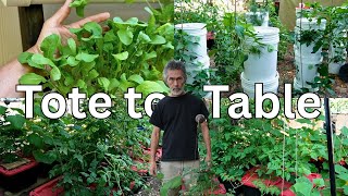 Secret Gardening Hack Big Ag Doesn’t Want You to Know!