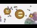 InnovaCoat® GOLD - gold nanoparticle conjugation technology
