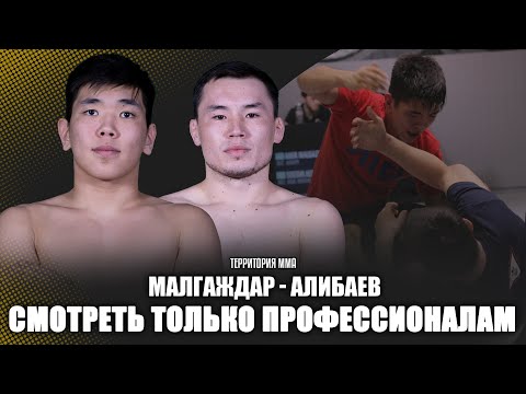Смотреть только профессионалам. Амир Малгаждар vs Султан Алибаев.