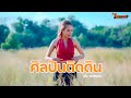 ศิลปินติดดิน ฝน พรรษชล