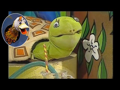 דתיה בן דור כתבה והלחינה: ״מים מים״ - פרפר נחמד