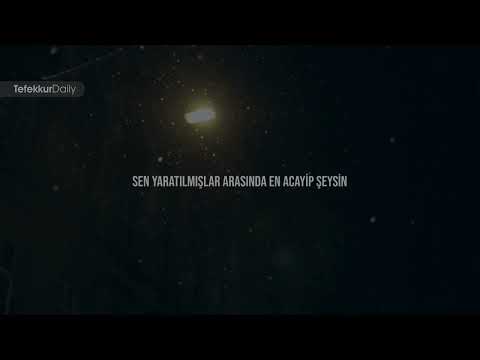 Nasheed - Taweel al shawq (Türkçe Çeviri)