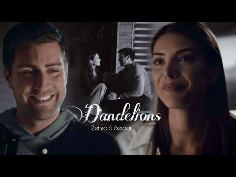 Zehra & Serdar | Dandelions