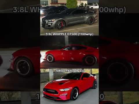 Whipple GT500 vs. Paxton 5.0! 🔥 #car #automobile #youtubeshorts #ford #fast #mustang #shelby #car