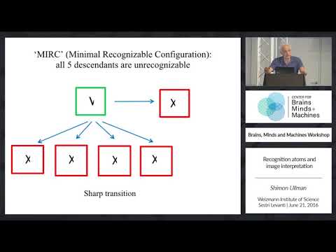 Atoms of Recognition and Interpretation