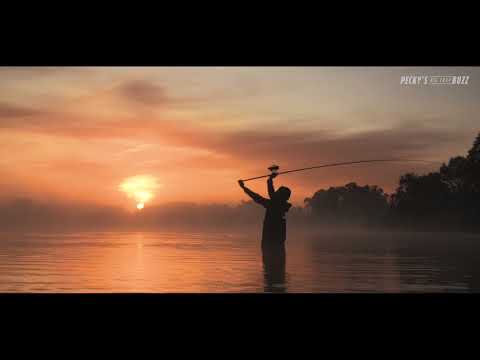 Pecky’s Big Carp Buzz | Official Trailer