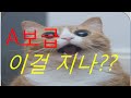 [A보급]이걸 져뿌노?