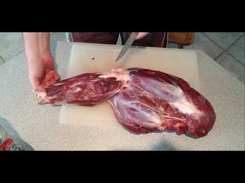 How to process Black Bear meat