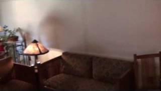 Real Estate Auction State College PA 16801