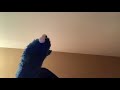 Cookie Monster Letter Of The Day S 60fps