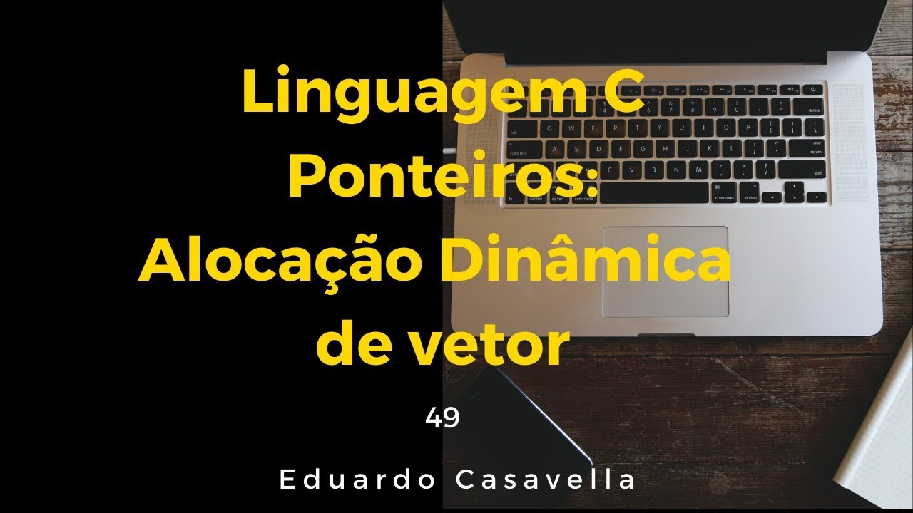 Alocacao Dinamica de Vetor Linguagem C