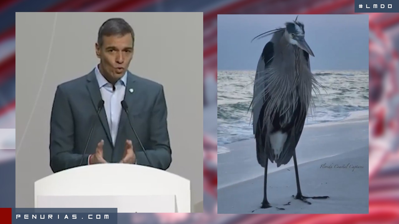 🔴 LOS MINUTOS DEL ODIO - Semana 45 de 2025