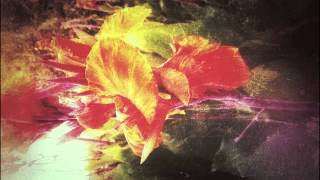 Night and Fog - Isolation, Deprivation, Realization