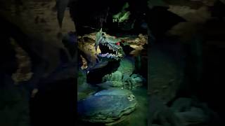 When your #Disney holiday is still 3 weeks away #disneycruise #disneyfantasy #disneycruiseline #dcl