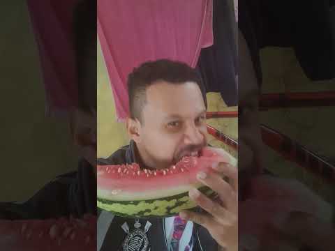 sextou assim jaguarari Bahia Brasil melancia  da roça 24 julho 2026