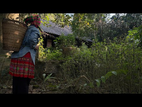 A Childless Woman’s Full Journey in an Abandoned House — From Broken to Reborn
