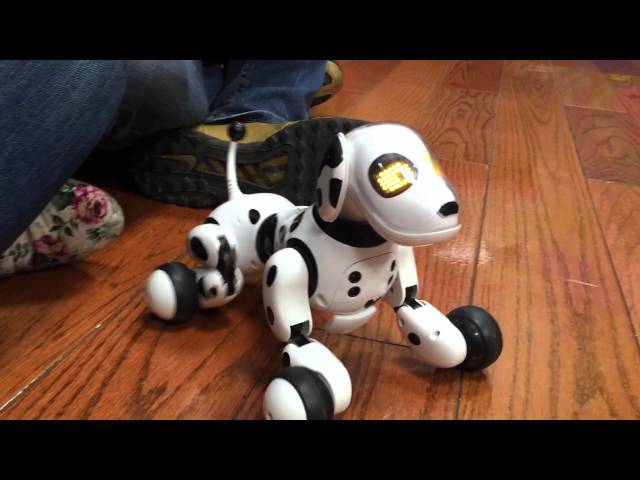 Vídeo relacionado con Robot de control remoto para perros, robots para niños, juguete inteligente y bailando, imita animales Mini robot de perro mascota..