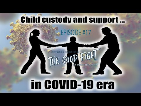 The Good Fight Ep.#17 – Child Custody Issues in the COVID-19-era