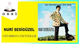 Nuri Sesigüzel / Gözyaşımdan Gayrı Nem Kaldı