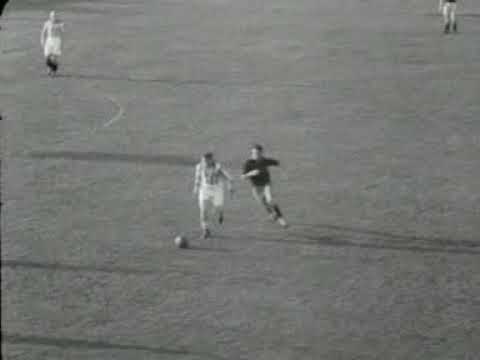 Hfc Haarlem landskampioen