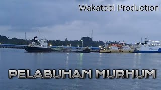 Download lagu PELABUHAN MURHUM/ Lagu buton terpopuler mp3