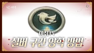 티어 올리는 루트?