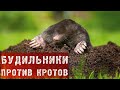 142 Будильники против кротов. 