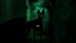 Conte os latidos — seu cachorro pode estar tentando te avisar #terror  #cachorro