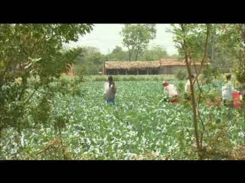 101 East - India's Special Economic Zones Part 1