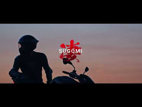 KAWASAKI Z 900 (35kW) MY27-video-4